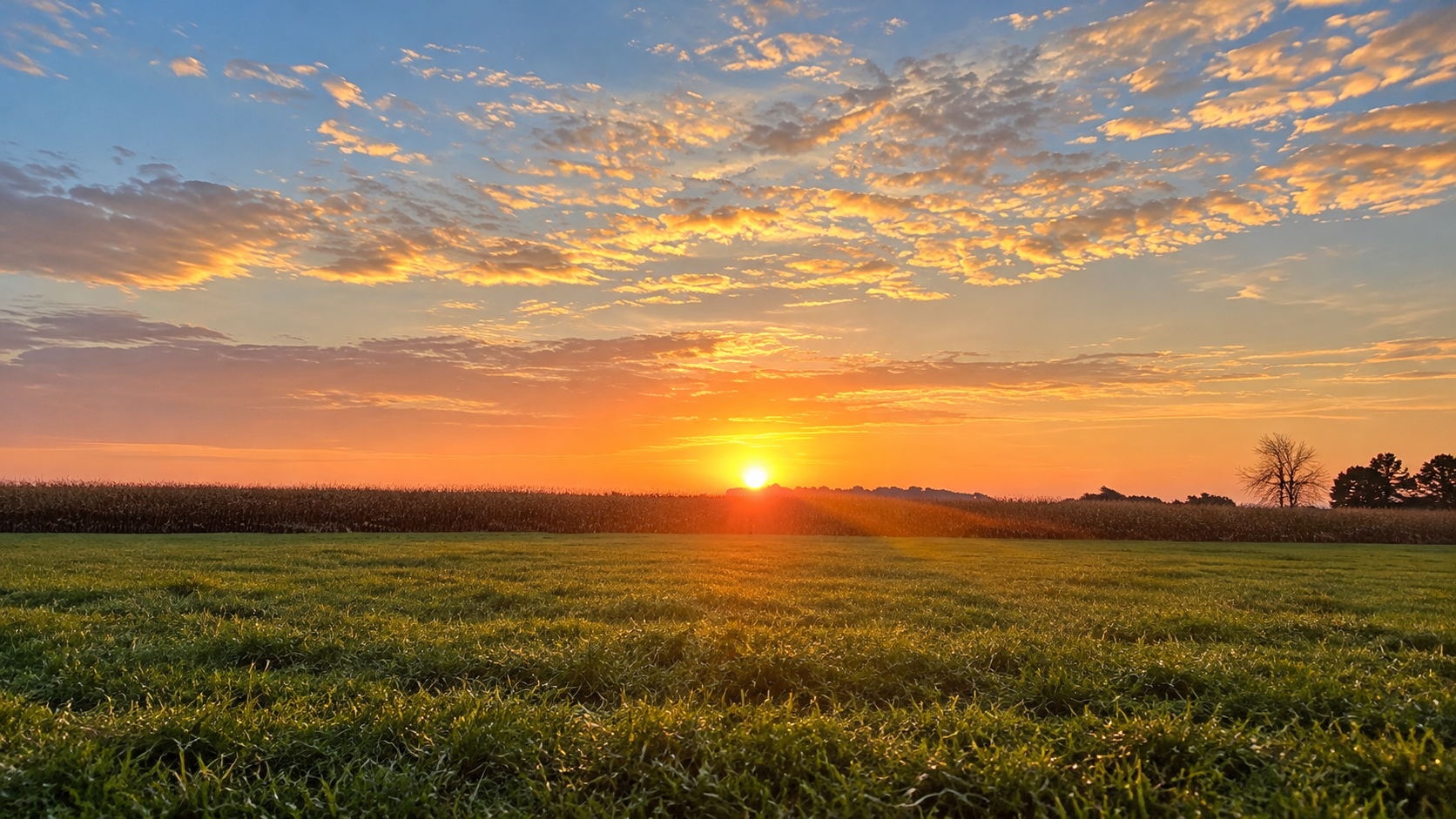 Golden sunrise over rural fields